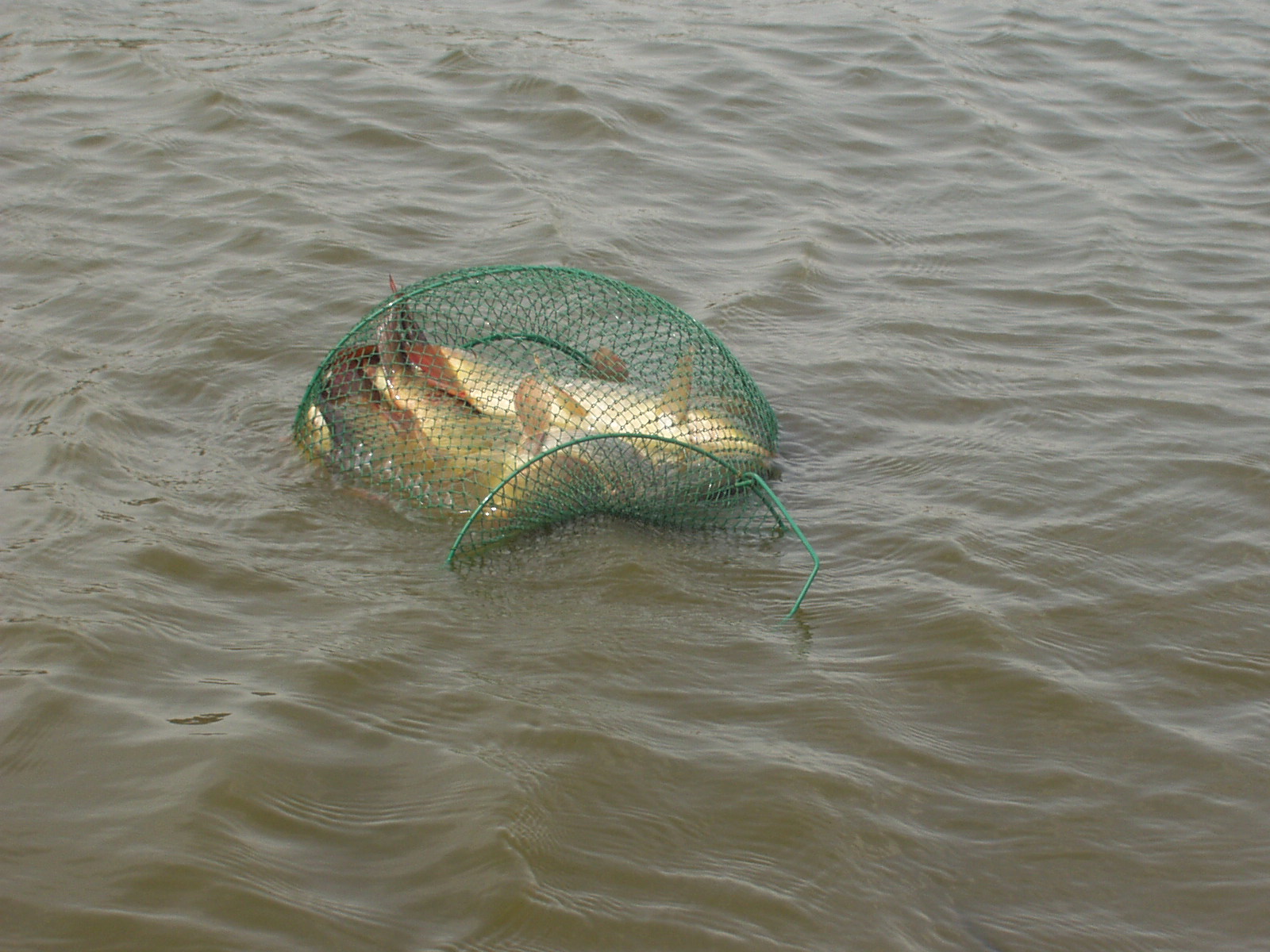 Vista de La Serena  (Guadalmez)
